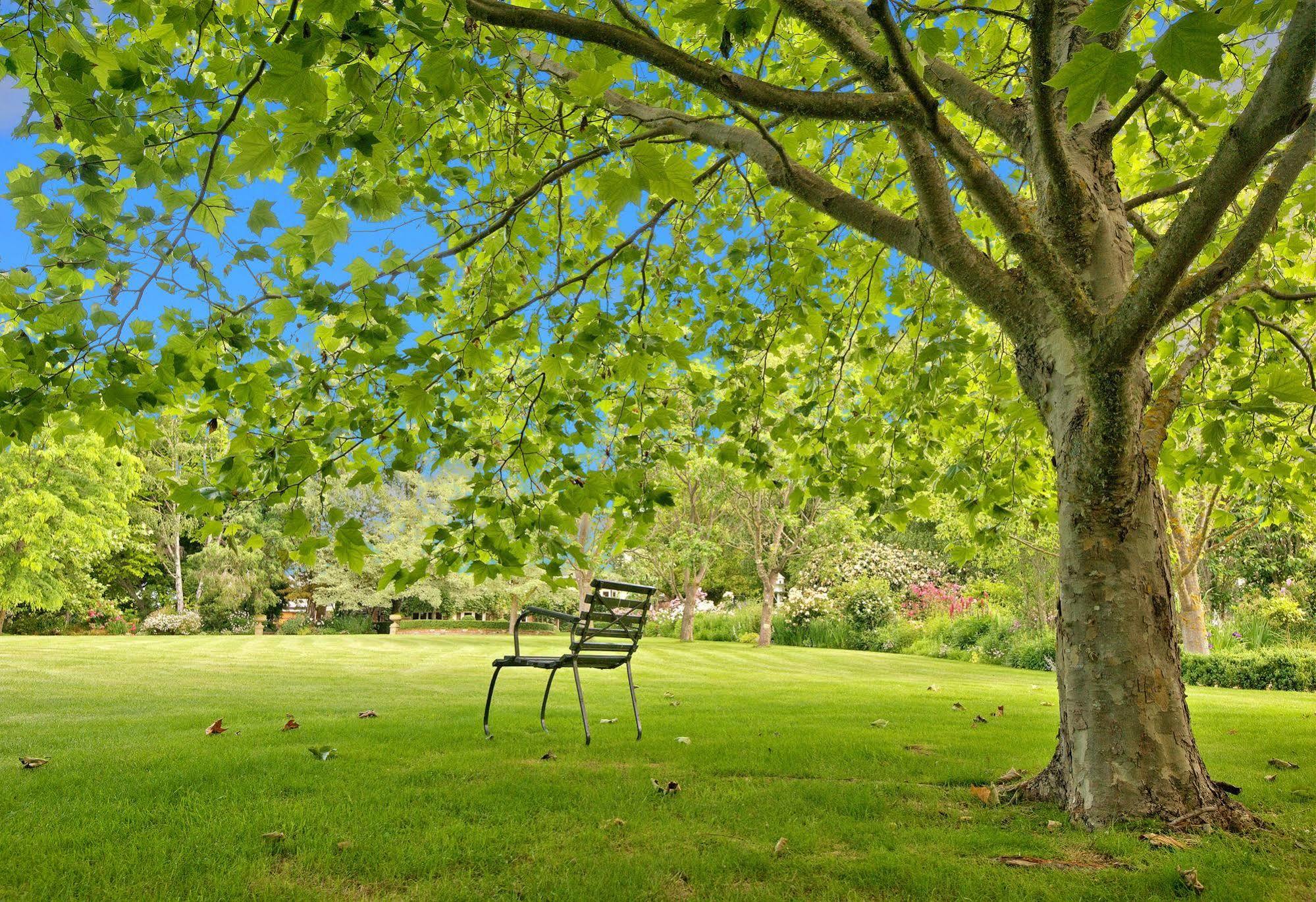 Wairepo House Bed & Breakfast Tasman Dış mekan fotoğraf